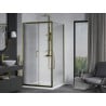 Mexen Apia Duschkabine, Schiebetür, 100 x 100 cm, transparent, gold + Duschwanne Flat, weiß- 840-100-100-50-00-4010G
