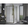 Mexen Apia Duschkabine, Schiebetür, 100 x 100 cm, transparent, gold + Duschwanne Flat, weiß- 840-100-100-50-00-4010G