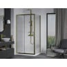 Mexen Apia Schiebetür-Duschkabine 110 x 70 cm, transparent, gold + Flat-Duschwanne, weiß- 840-110-070-50-00-4010G