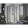 Mexen Apia Duschkabine Schiebetür 120 x 100 cm, transparent, Gold + Duschwanne Flat, Weiß- 840-120-100-50-00-4010G