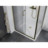 Mexen Apia Schiebedusche 140 x 90 cm, transparent, gold + Flat-Duschwanne, weiß - 840-140-090-50-00-4010G