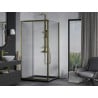 Mexen Apia Duschkabine Schiebetür 90 x 90 cm, transparent, gold + Duschwanne Flat, schwarz - 840-090-090-50-00-4070G