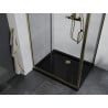 Mexen Apia Duschkabine Schiebetür 100 x 90 cm, transparent, gold + Flat Duschwanne, schwarz - 840-100-090-50-00-4070G