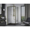 Mexen Apia Duschkabine Schiebetür 100 x 90 cm, transparent, gold + Flat Duschwanne, schwarz - 840-100-090-50-00-4070G