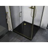 Mexen Apia Schiebeduschkabine 100 x 100 cm, transparent, gold + Flat Duschwanne, schwarz - 840-100-100-50-00-4070G