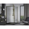 Mexen Apia Duschkabine Schiebetür 100 x 100 cm, transparent, gold + Duschwanne Flat, schwarz - 840-100-100-50-00-4070G