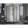Mexen Apia Schiebeduschkabine 100 x 100 cm, transparent, gold + Flat Duschwanne, schwarz - 840-100-100-50-00-4070G