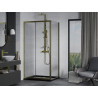 Mexen Apia Schiebedusche 120 x 80 cm, transparent, goldfarben + Flat Duschwanne, schwarz - 840-120-080-50-00-4070G