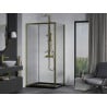 Mexen Apia Duschkabine, verschiebbar 130 x 80 cm, transparent, gold + flache Duschwanne, schwarz - 840-130-080-50-00-4070G