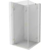 Mexen Lunar-B Duschkabine aufschwingbar links 100 x 100 cm, transparent, gebürstetes Gold - 832-100-100-55-00-L