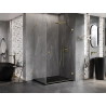 Mexen Lunar-B Duschkabine, rechts öffnend, 100 x 80 cm, transparent, gebürstetes Gold - 832-100-080-55-00-P