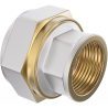 Mexen PEX-S Schraubreduktion PEX 25 x 3/4 IG - W97222-2534F-00
