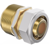 Mexen PEX-S Reduzierung verschraubt PEX 20 x 1/2 AG - W97223-2012M-00