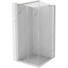 Mexen Rox L Duschkabine Schiebetür 100 x 100 cm, transparent, gebürsteter Nickel - 8C2L-100-100-97-00