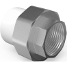 Mexen PPR Muffenschraube, verschweißt für PPR-Rohre 25 x 1 IG - W97355-2510F-00