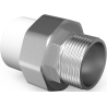 Mexen PPR Muffenschweißverbindung für PPR Rohre 63 x 2 AG - W97356-6320M-00