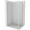 Mexen Roma duschkabine schwenkbar 100 x 90 cm, transparent, gold - 854-100-090--50-00