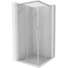 Mexen Rox Duo Schiebeduschkabine 110 x 110 cm, transparent, gebürsteter Nickel - 8C2D-110-110-97-00