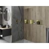 Mexen X-Wall-NR nischenregal ohne flansch 30 x 20 cm, gebürstetes gold - 1951302010