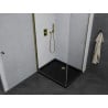 Mexen Pretoria Duschkabine zum Öffnen 70 x 80 cm, transparent, gold + Flat Duschwanne, schwarz - 852-070-080-50-00-4070G