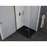 Mexen Pretoria Pendeltür-Duschkabine 80 x 70 cm, transparent, Gold + Flat Duschwanne, schwarz - 852-080-070-50-00-4070G