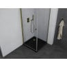 Mexen Pretoria Duschecke schwenkbar 100 x 100 cm, transparent, golden + Flat Duschwanne, schwarz - 852-100-100-50-00-4070G