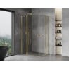 Mexen Mist Duo Duschkabine schwenkbar 120 x 115 cm, transparent, Gold - 8A4-120-115-50-00