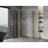 Mexen Mist Duo Duschkabine mit Schwingtür 115 x 100 cm, transparent, gebürstetes Gold - 8A4-115-100-55-00