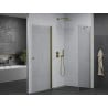 Mexen Pretoria Duschkabine schwenkbar 100 x 80 cm, transparent, gold - 852-100-080-50-00