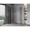 Mexen Mist L Duo Duschkabine schwenkbar 120 x 110 cm, transparent, Chrom - 8A4L-120-110-01-00