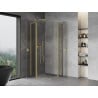 Mexen Mist L Duo Duschkabine schwenkbar 100 x 100 cm, transparent, gold - 8A4L-100-100-50-00