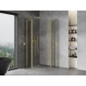 Mexen Mist L Duo Duschkabine schwenkbar 100 x 100 cm, transparent, gebürstetes Gold - 8A4L-100-100-55-00