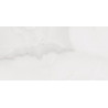 Mexen Onyx Silber Probe eines glasierten Feinsteinzeugs rek. G1, Boden- und Wandfliese, glänzend - TL106-02-S