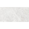 Mexen Lizard Silber Probe für glasiertes Feinsteinzeug rekt. G1, Boden- und Wandfliese, glänzend - TL109-03-S