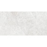 Mexen Lizard Silber Probe für glasiertes Feinsteinzeug rekt. G1, Boden- und Wandfliese, glänzend - TL109-03-S