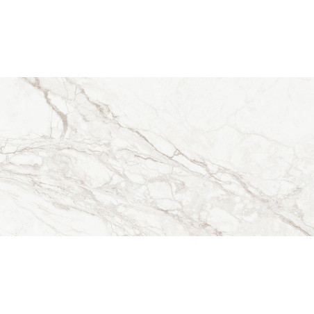 Mexen Rayas Silber Probe glasiertes Feinsteinzeug rekt. G1, Boden-Wandfliese, glänzend - TL147-01-S
