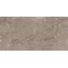 Mexen Arbour Taupe Probe glasiertes Feinsteinzeug rekt. G1, Boden- und Wandfliese, Glanz - TL158-01-S