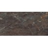 Mexen Sintra Earth Probe Glasiertes Feinsteinzeug rekt. G1, Boden- und Wandfliese, Hochglanz - TL204-02-S