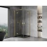 Mexen Mist-H Duo Duschkabine schwenkbar 100 x 100 cm, transparent, gebürstetes Gold - 8A5-100L-100P-55-00