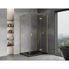 Mexen Mist-H Duo Duschkabine Schwingtür rechts 100 x 110 cm, transparent, gebürstetes Gold - 8A5-100L-110P-55-00