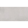 Mexen Elora Silber Probe von glasiertem Feinsteinzeug rekt. G1, Boden-Wand-Fliese, matt - TL320-05-S