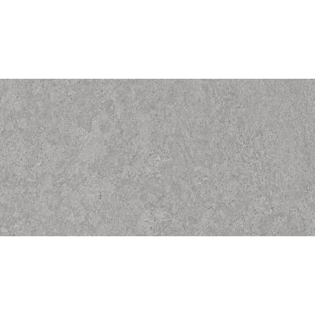 Mexen Megnum Silberprobe glasiertes Feinsteinzeug rekt. G1, Boden- und Wandfliese, Carving - TL342-03-S
