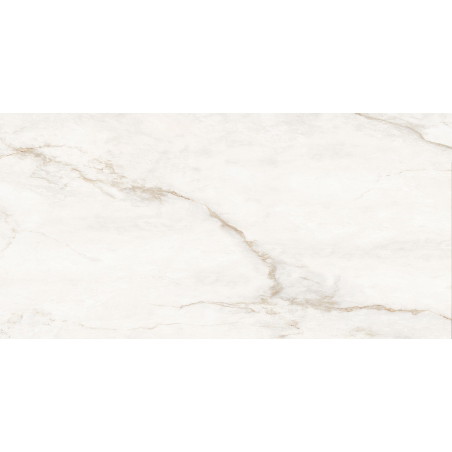 Mexen Brakel Gold Probe glasiertes, rektifiziertes Feinsteinzeug G1, Boden- und Wandfliese, Carving - TL402-00-S