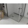 Mexen Lima Duo Duschkabine faltbar 100 x 90 cm, transparent, schwarz - 856-100-090-70-00-02
