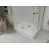 Mexen Lima Duo klappbare Duschkabine 100 x 90 cm, transparent, gold + Flat Duschwanne - 856-100-090-50-02-4010G