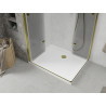Mexen Lima Duo klappbare Duschkabine 100 x 90 cm, transparent, gold + Flat Duschwanne - 856-100-090-50-02-4010G