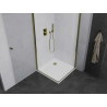 Mexen Pretoria Duo-Pendelduschkabine 70 x 70 cm, transparent, Gold + Flat-Duschwanne - 852-070-070-50-02-4010G