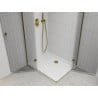 Mexen Roma Duo Duschkabine mit Drehtür 80 x 70 cm, transparent, gold + Flache Duschwanne - 854-080-070-50-02-4010G