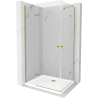 Mexen Roma Duo Duschkabine, schwenkbar, 100 x 90 cm, transparent, Gold + Flat Duschwanne - 854-100-090-50-02-4010G