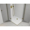 Mexen Roma Duo Duschkabine, schwenkbar, 100 x 90 cm, transparent, Gold + Flat Duschwanne - 854-100-090-50-02-4010G
